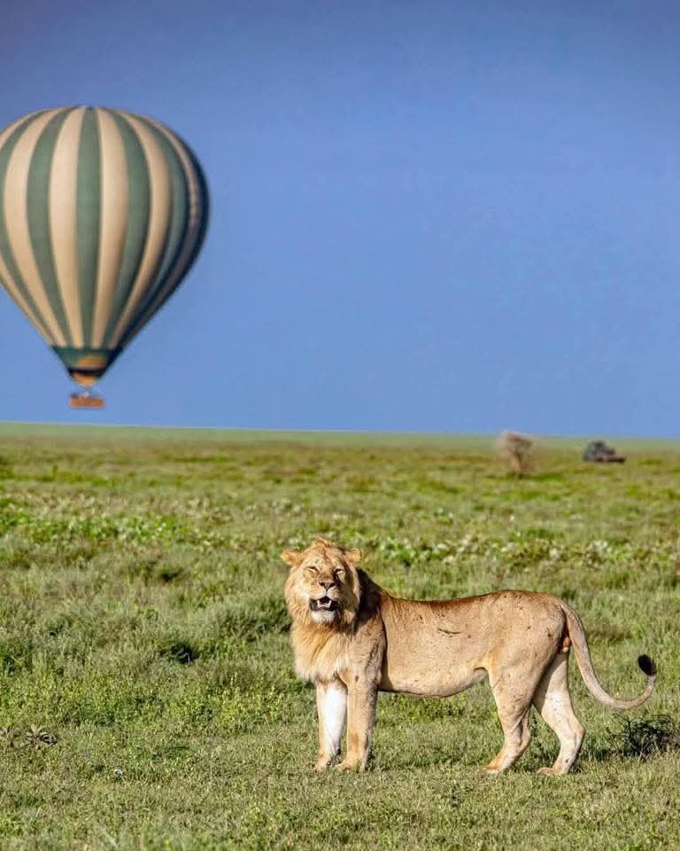 Uganda