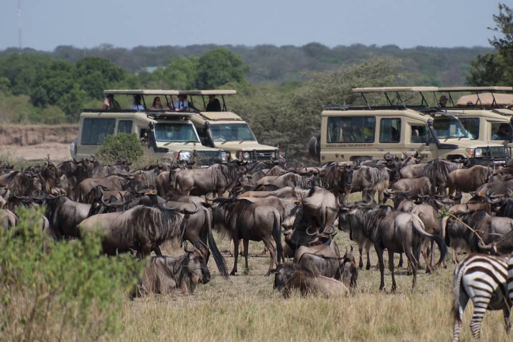 Day Trip Ngorongoro Crater