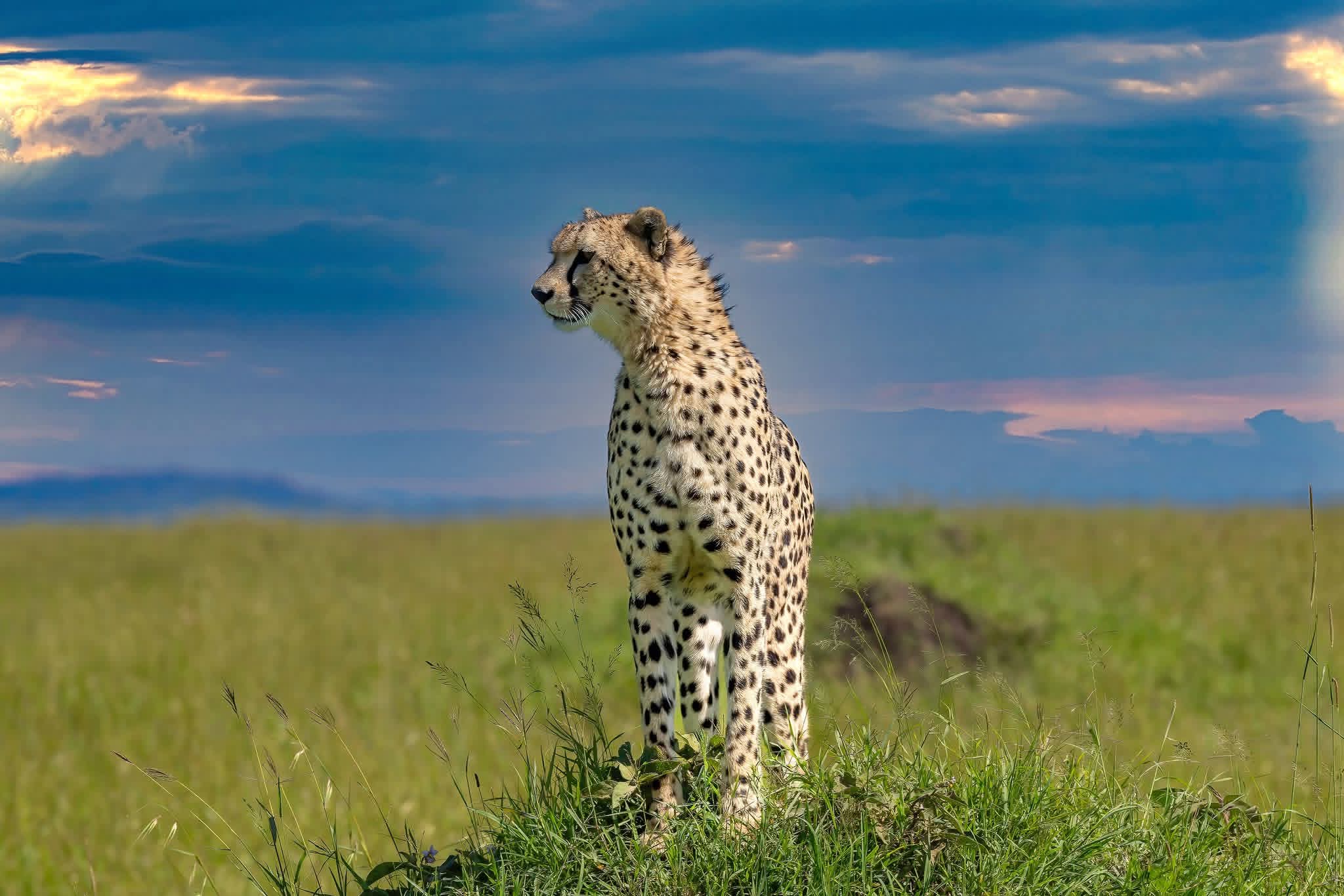 7 Days 6 Nights Tanzania Safari