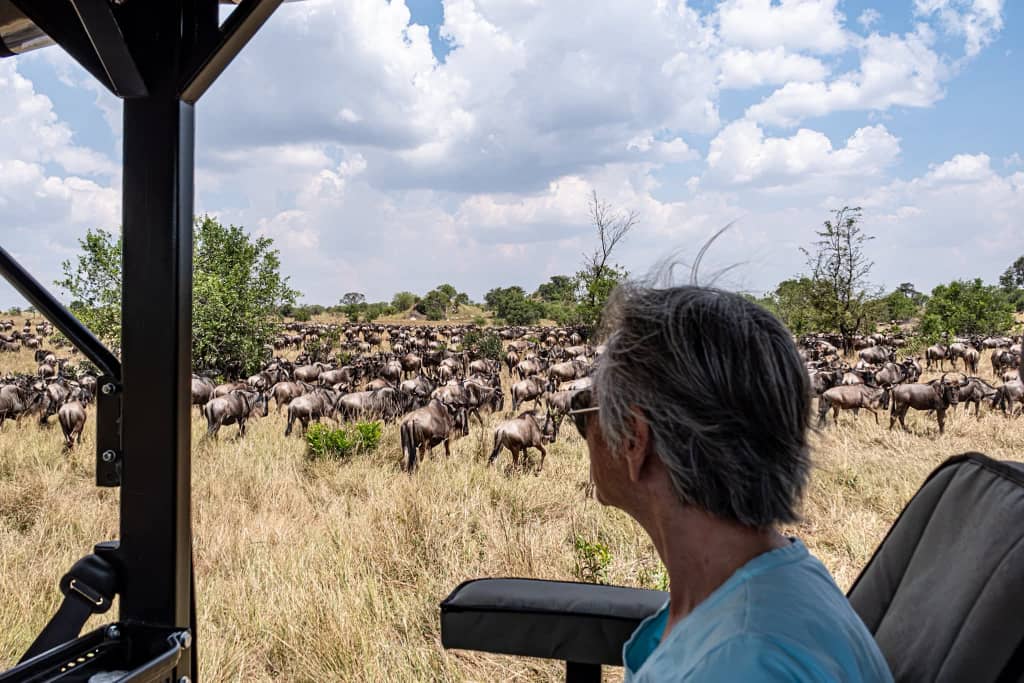 Tarangire & Ngorongoro Safari 2 Days
