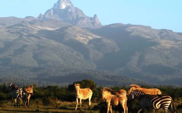 8 Days Kenya Circuit
