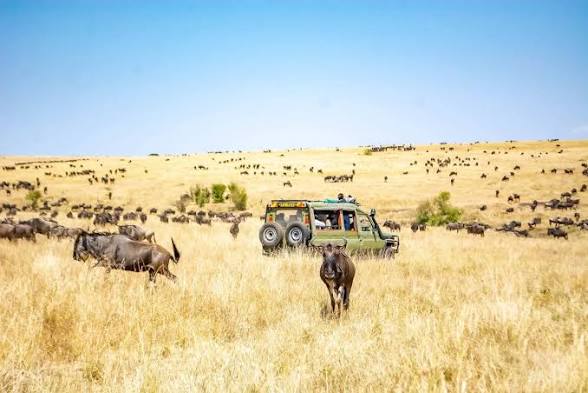 5 Days Amboseli & Tsavo