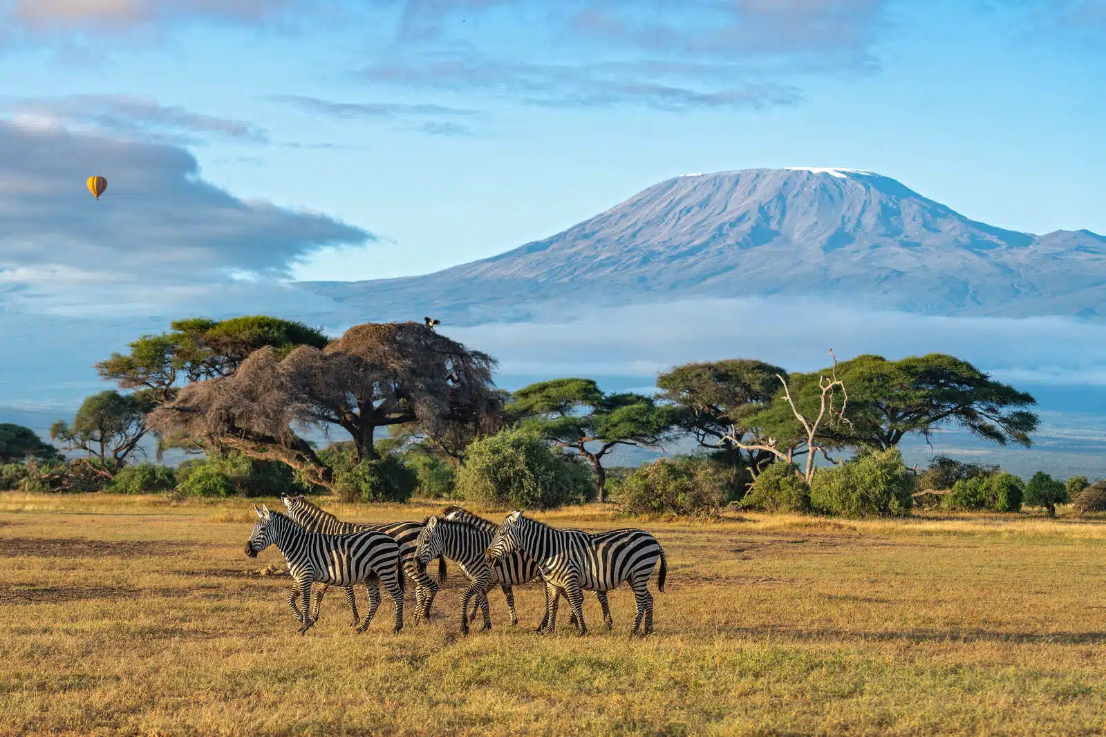 4 Days Masai Mara & Nakuru