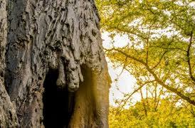 3 Days Meru National Park