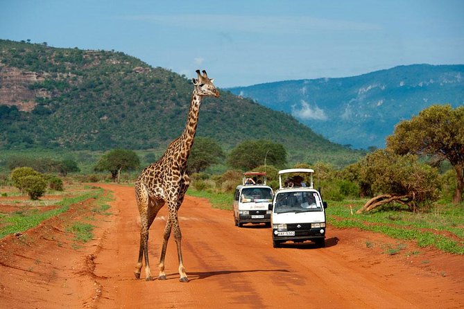 6 Days Amboseli & Tsavo West / East
