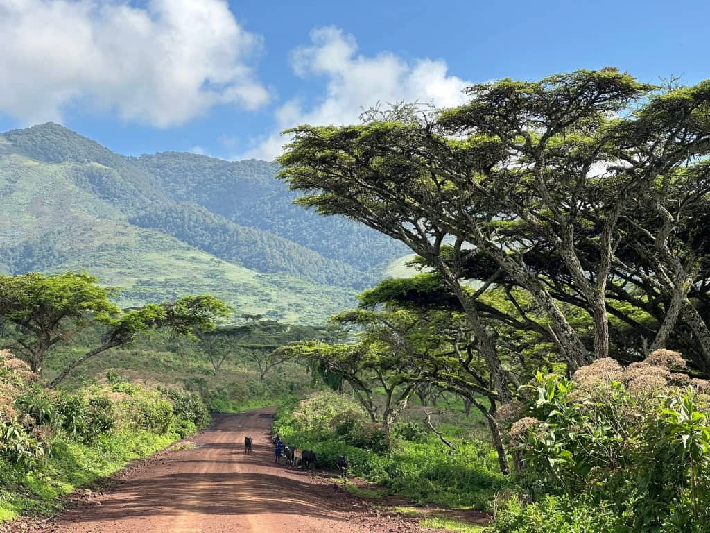 Materuni Waterfalls Day Visit